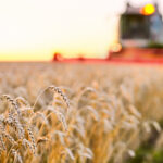 Régimen Agrario: Periodos de pago