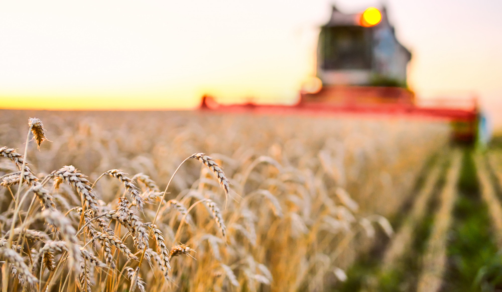 Régimen Agrario: Periodos de pago