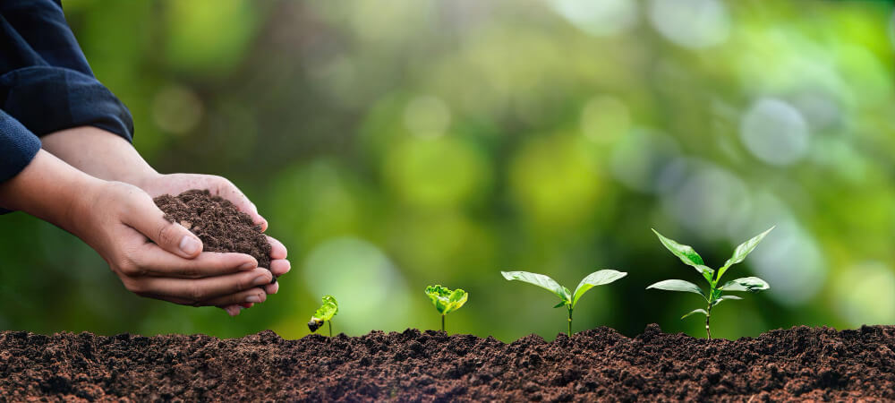 Prestaciones de IT en periodos de actividad en Sistema Agrario