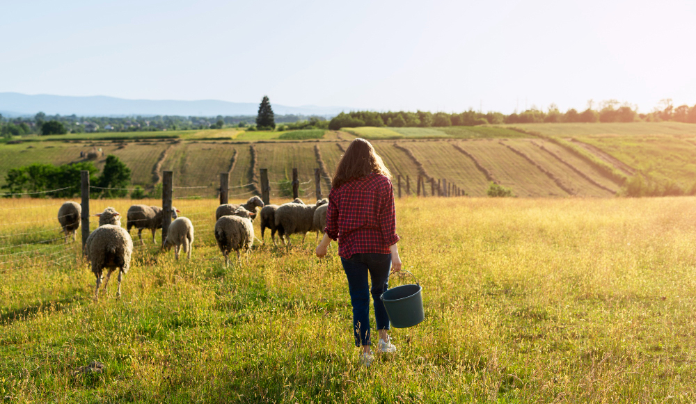 Bases y tipos de cotización en el Sistema Especial Agrario