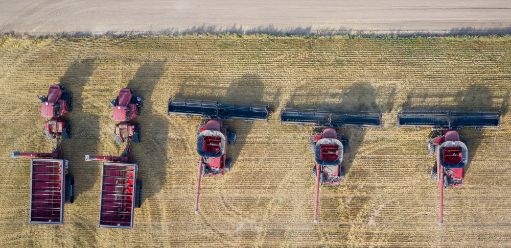 Bases y tipos de cotización en el Sistema Especial Agrario