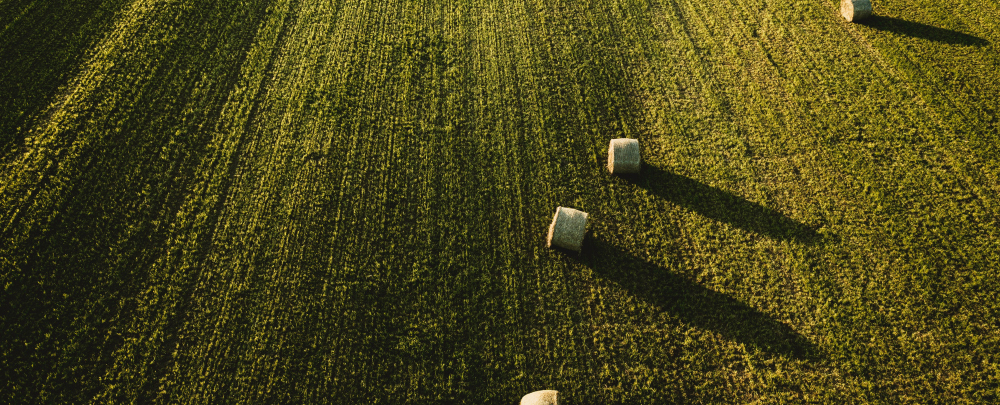 Bases y tipos de cotización en el Sistema Especial Agrario