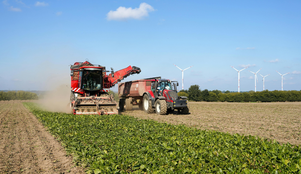 Modalidades de contratación en el sector agrícola en España