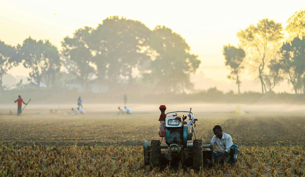 Derechos de los trabajadores temporeros en el campo español