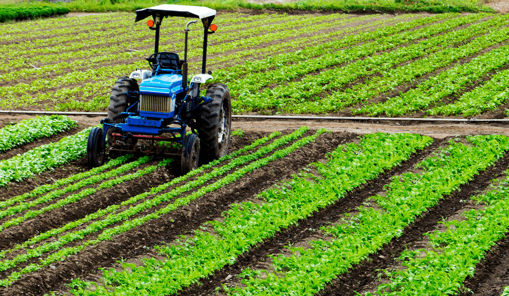 Mutuas en el Régimen Especial Agrario