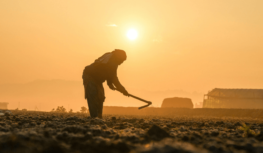 Mutuas en el Régimen Especial Agrario