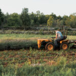 Cómo elegir la modalidad de cotización correcta en el Sistema Agrario