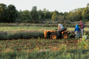 Cómo elegir la modalidad de cotización correcta en el Sistema Agrario