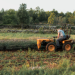 Cómo elegir la modalidad de cotización correcta en el Sistema Agrario