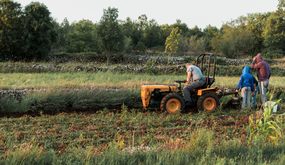 Cómo elegir la modalidad de cotización correcta en el Sistema Agrario