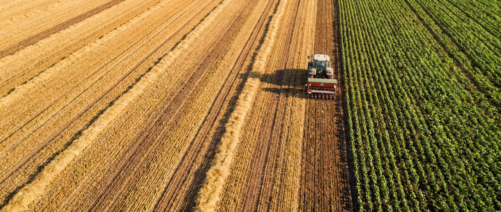 Nómina y rotación de personal: cómo afecta a la productividad agrícola