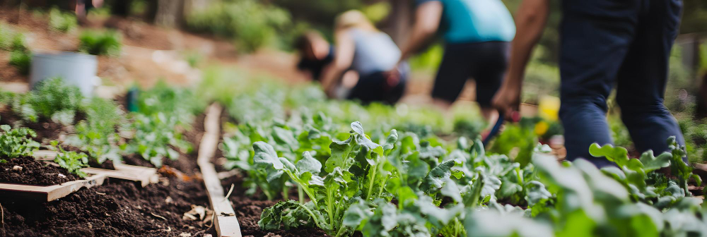 Cómo gestionar diferentes tipos de trabajadores agrarios desde un mismo programa de nóminas